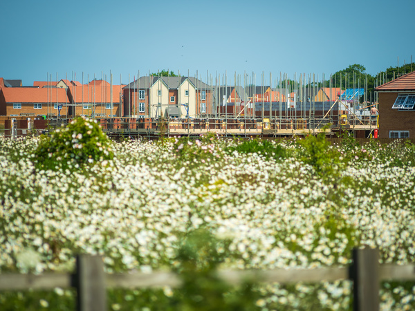 House building image with field in foreground